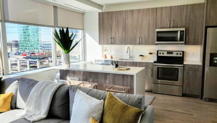 Living room and kitchen