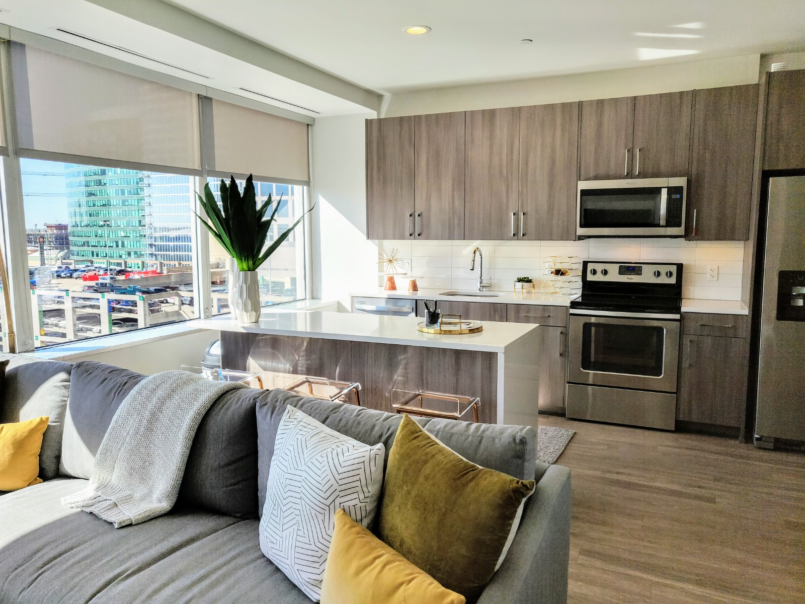 Living room and kitchen