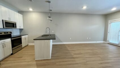 Living room and kitchen