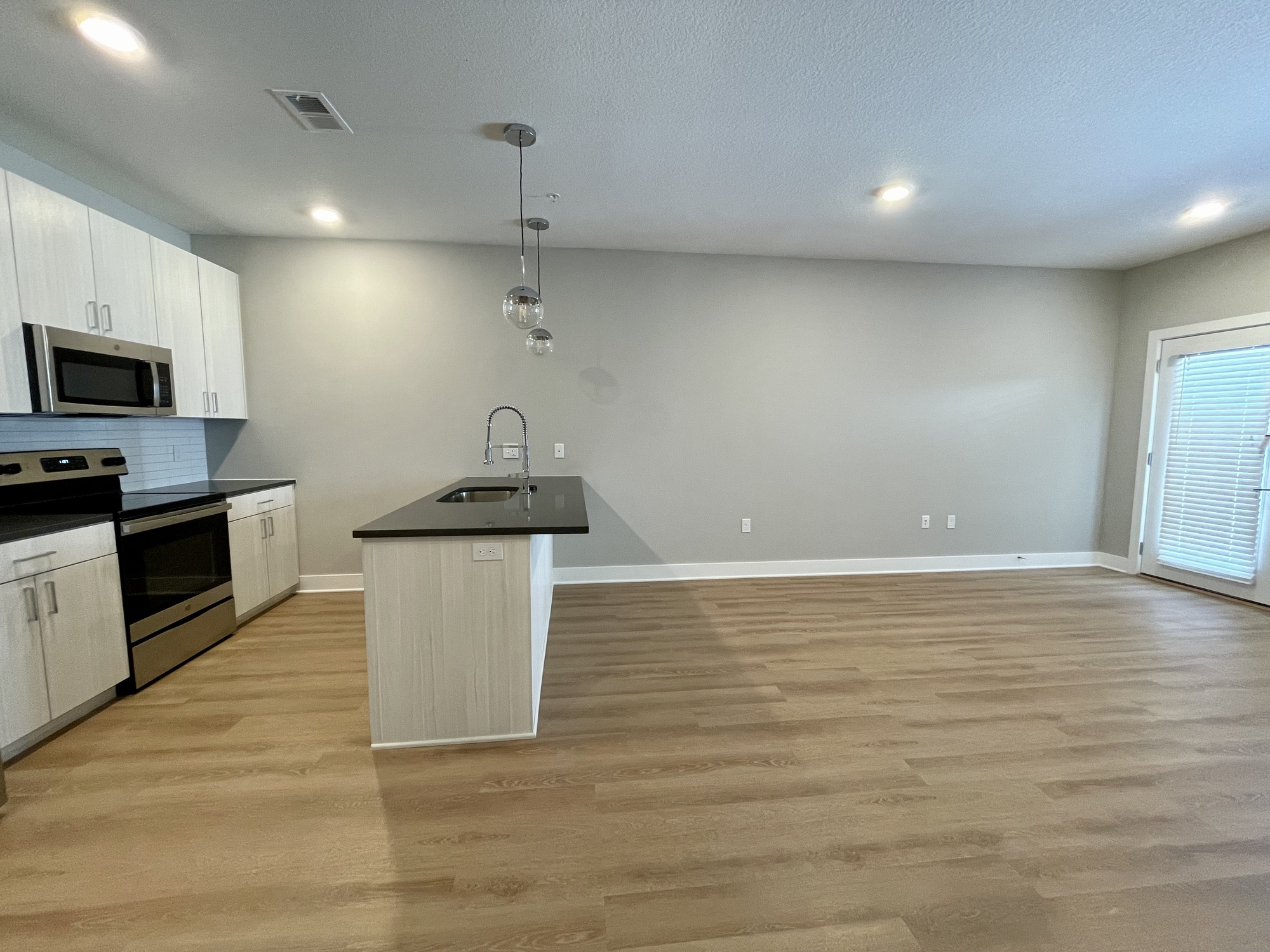 Living room and kitchen